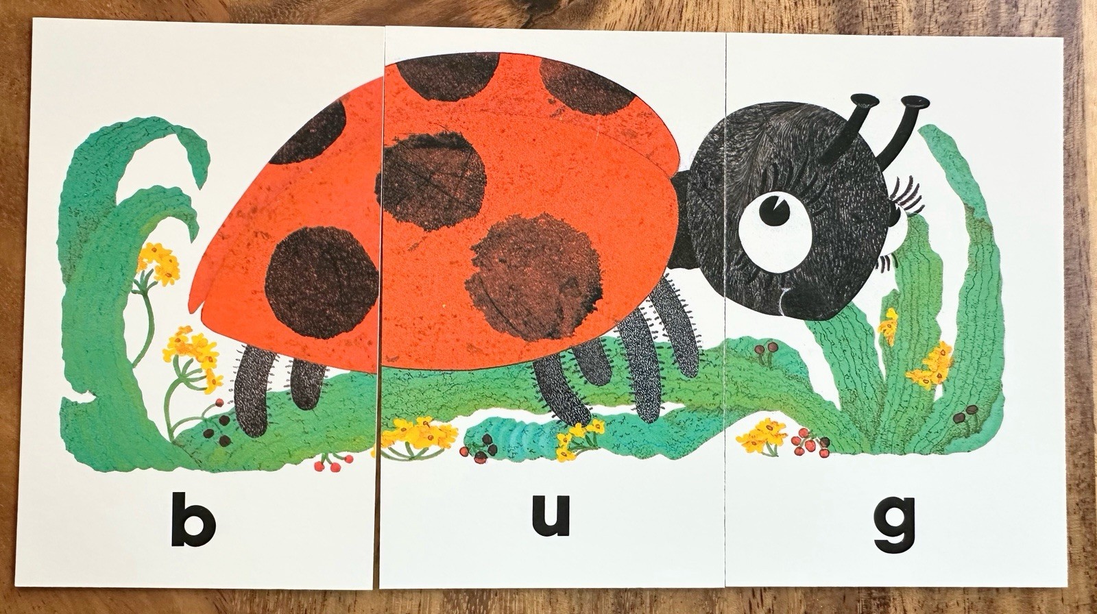 School Zone Publishing, Three-Letter Words Cards, Ages 3+, Spelling, Matching