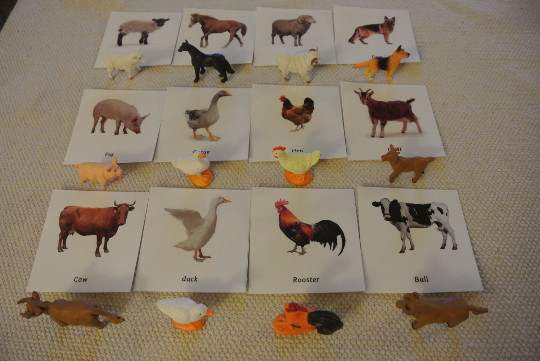 Montessori Common Farm Animals 3 Part Cards with Miniatures