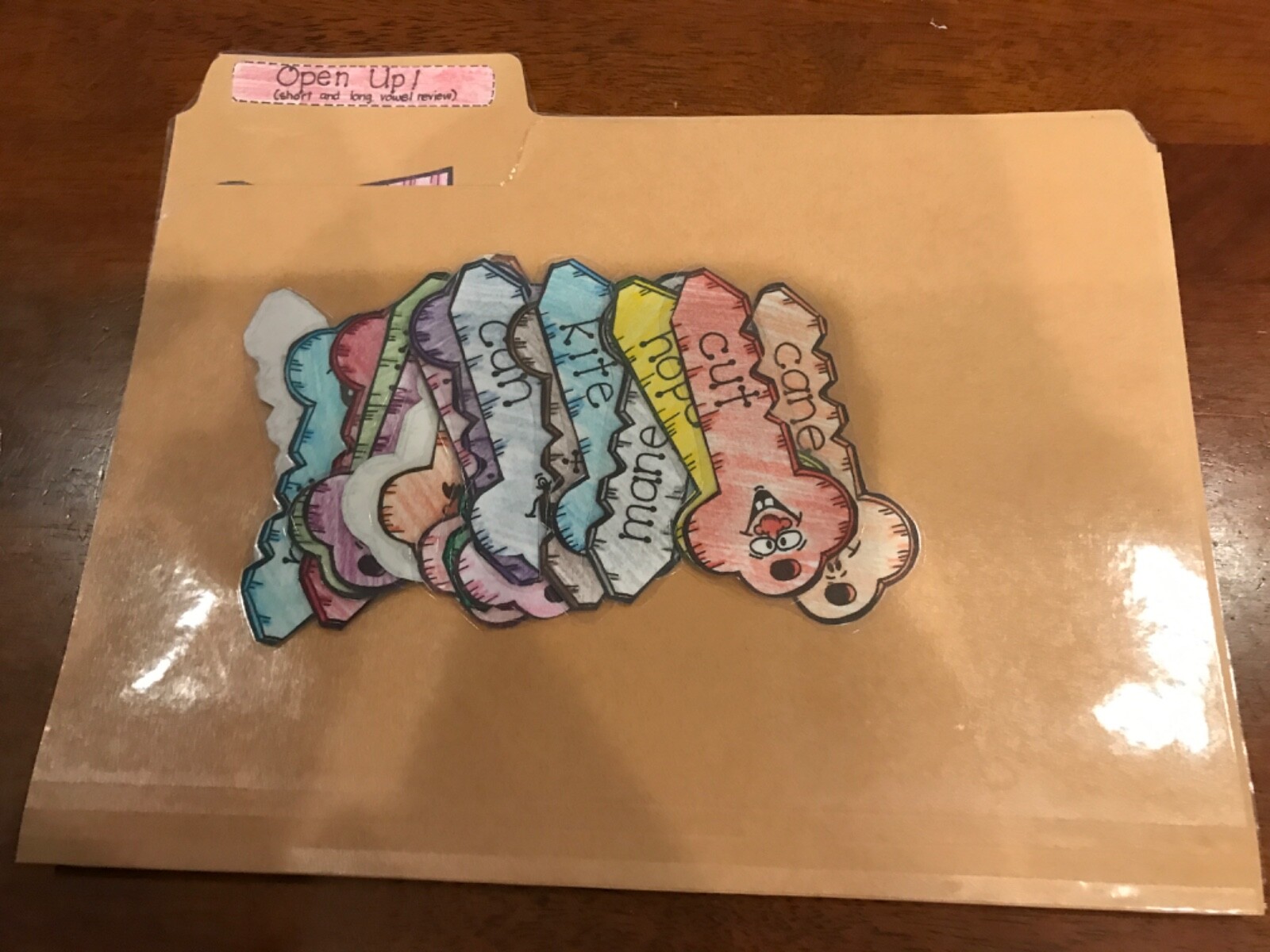 Open Up! Long Short Vowel Spunds 2nd grade language arts file folder game
