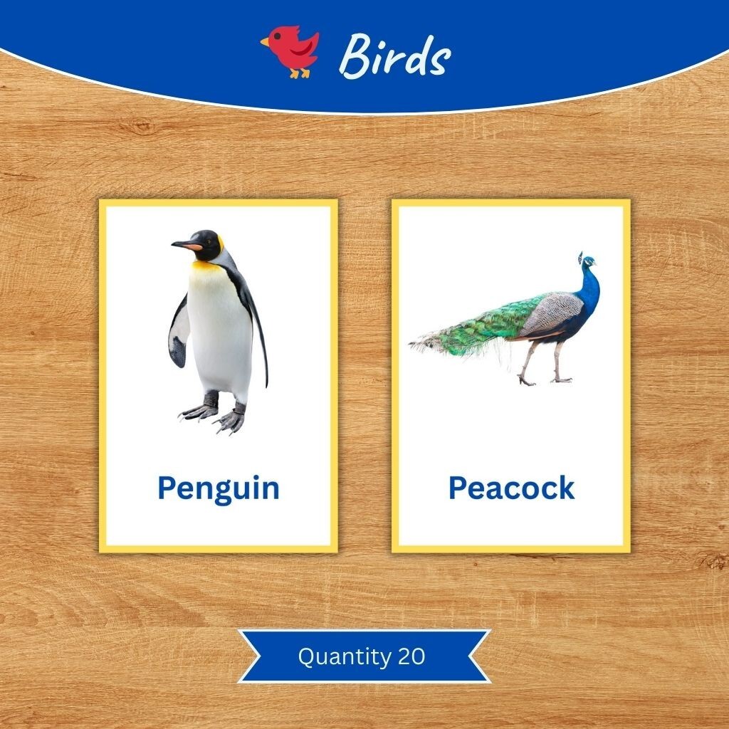 Printable Kids Flash Cards Bundle | Fruits, Vegetables, Animals, Birds, Fish