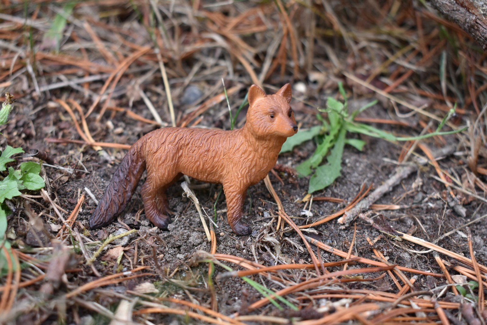 Fox, Red, Plastic Animal, Educational, Toy, Kids, Realistic Figure, 3″ M053