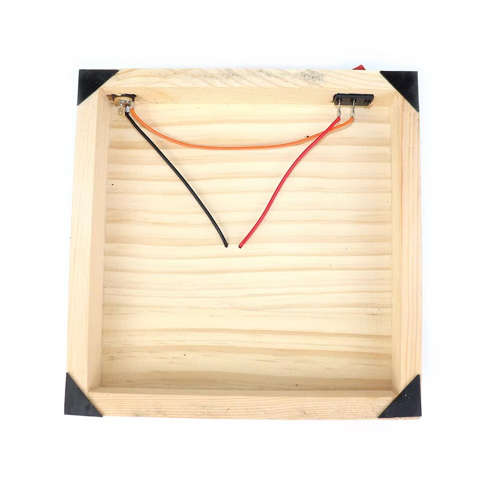 Electromagnetic Accelerator DIY Electrical & Magnetic Induction Circular Motion