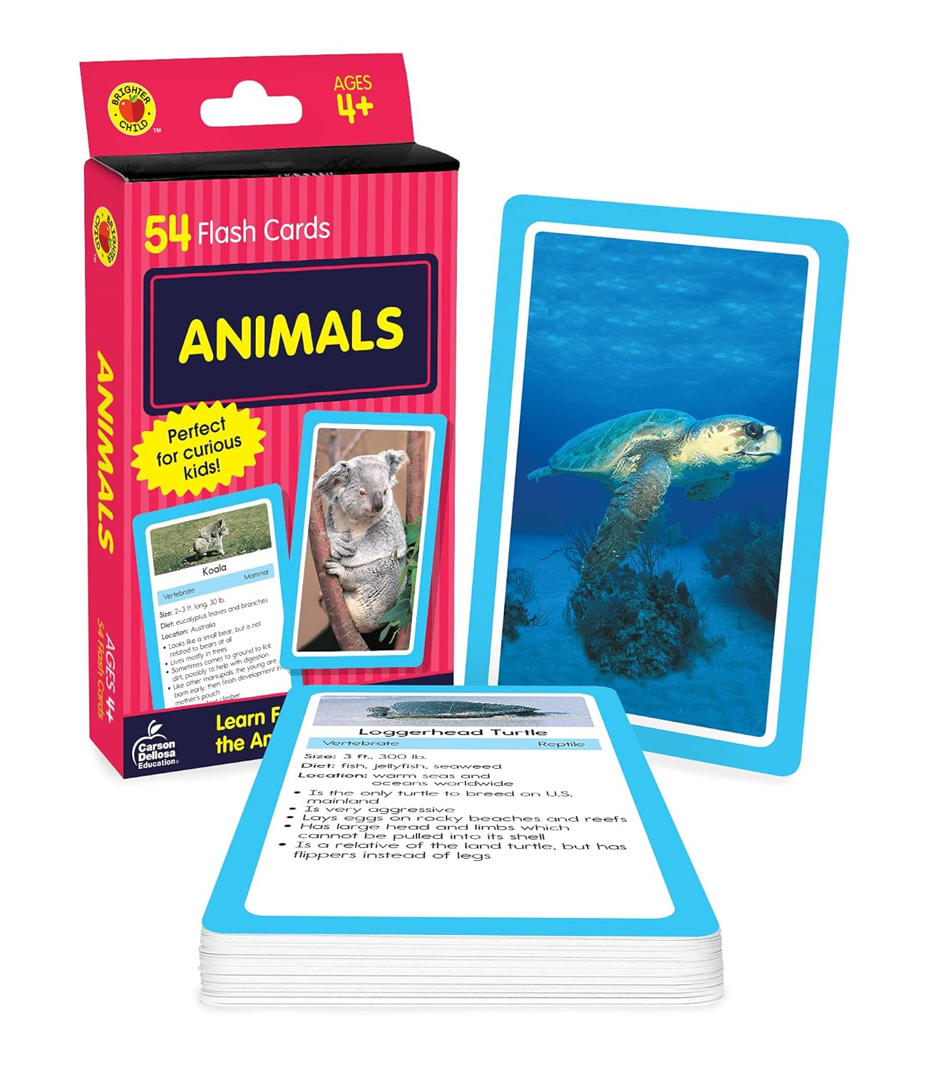 Carson Dellosa 54 Animal Flash Cards, Zoo, Reptiles, Bugs, Sea Creatures, and Mo