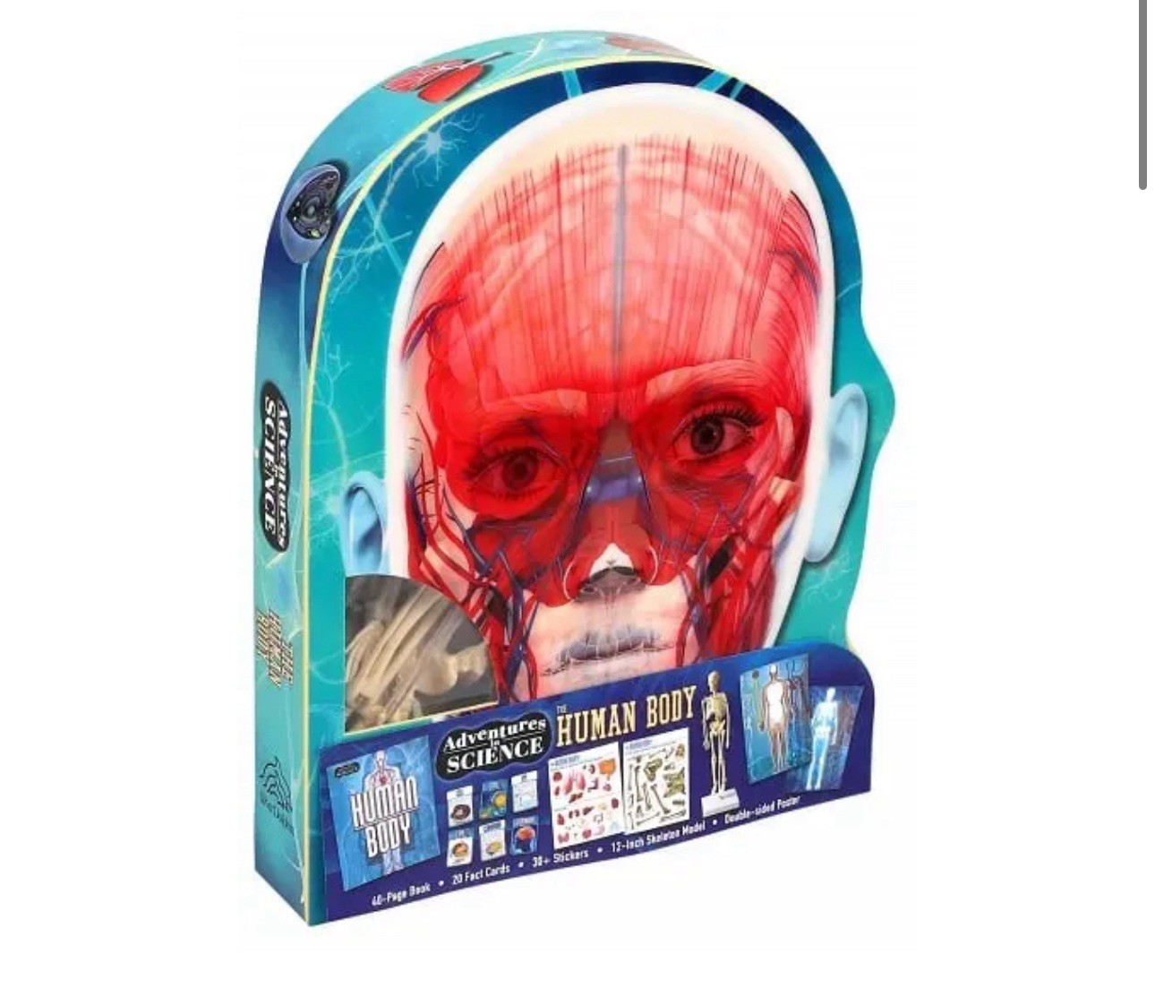 Learning Adventures The Human Body STEM Kit – Books, Cards, Stickers – NEW