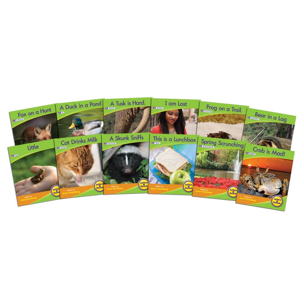 Blend Readers Non-Fiction Toy