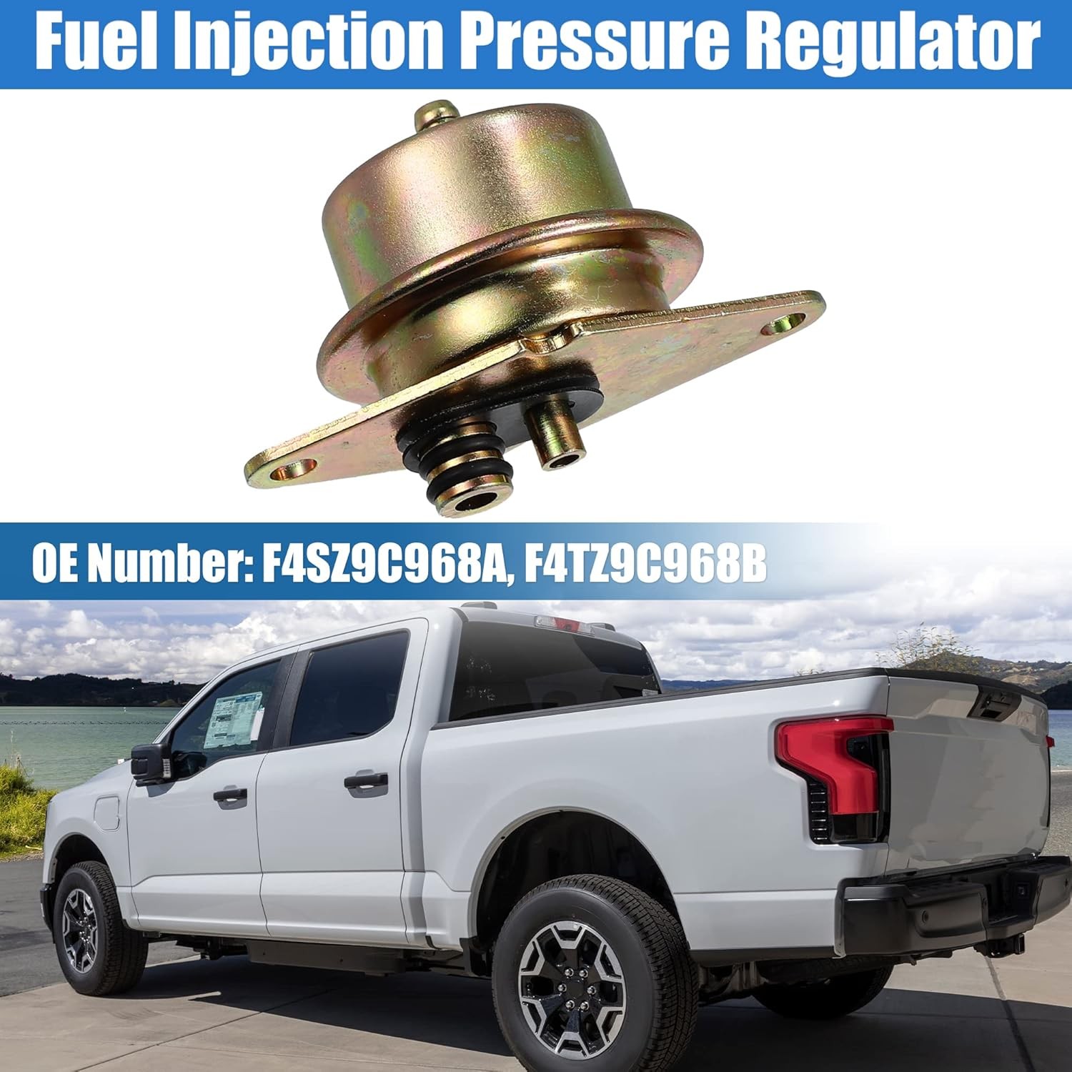 Fuel Pressure Regulator Ford F-150 1994-1999 F-250 1993-1999