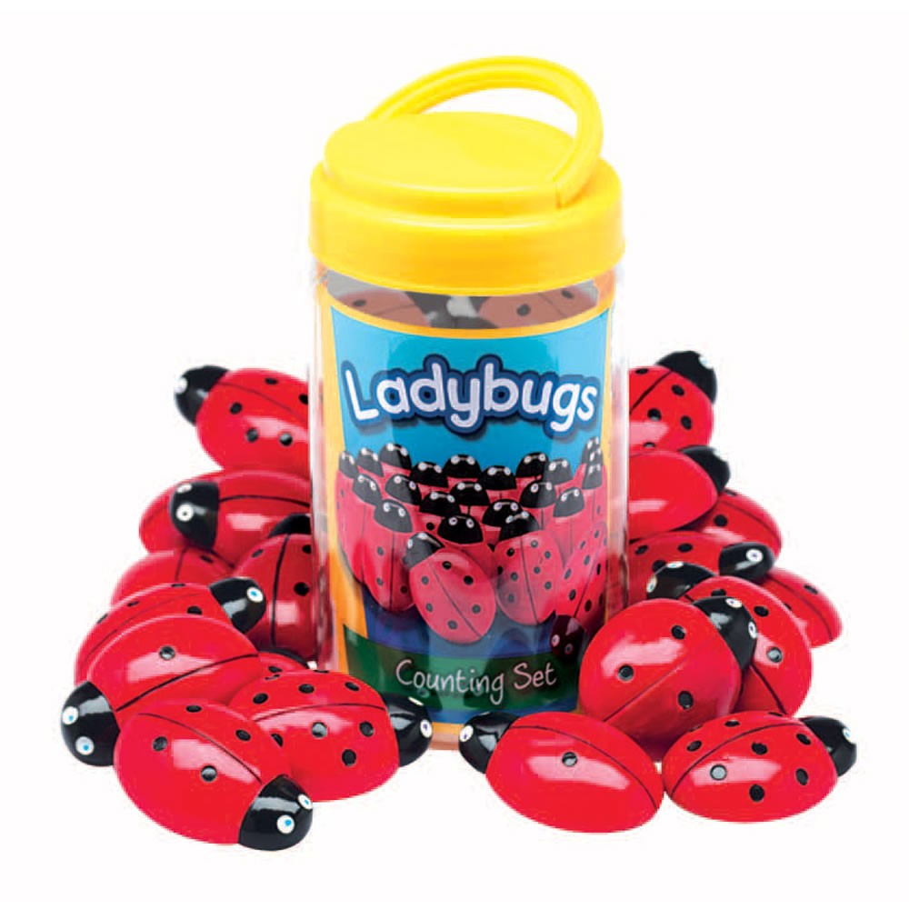 Yellow Door Ladybug Stones and Detailed Activity Cards