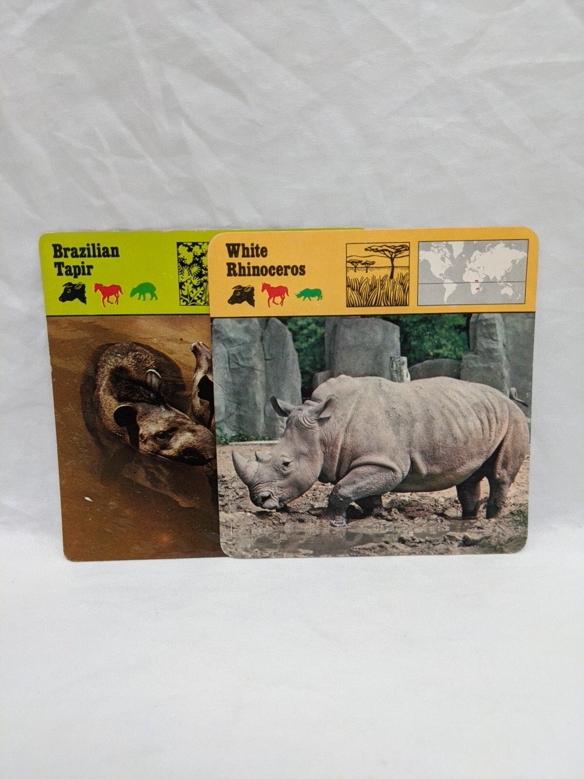 Lot Of (29) 1975 Rencontre Mammals IV Education Cards