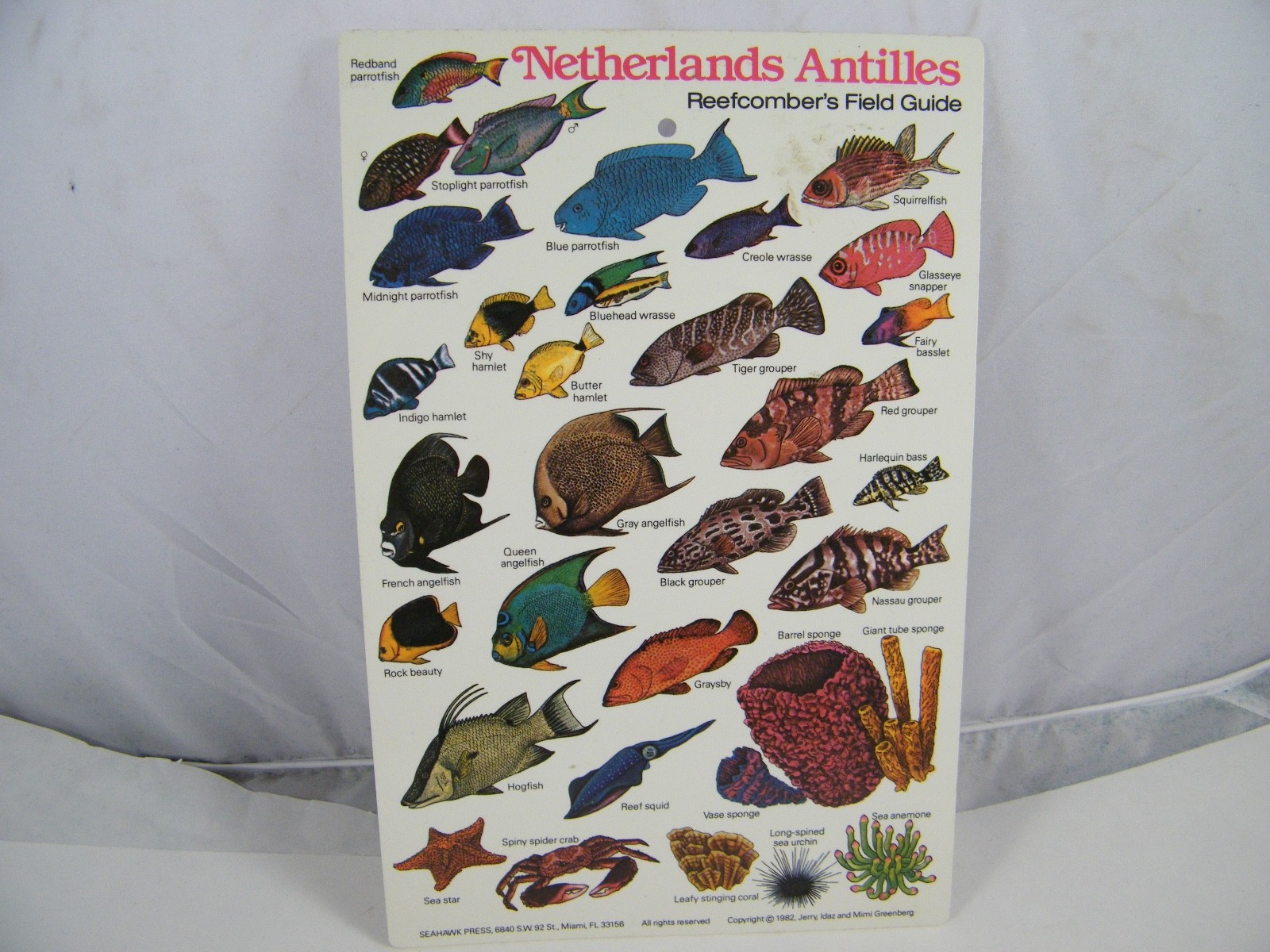 4 FISH GUIDE CARDS NETHERLANDS ANTILLES, MICRONESIA, W CENTRAL PACIFIC, PACIFIC