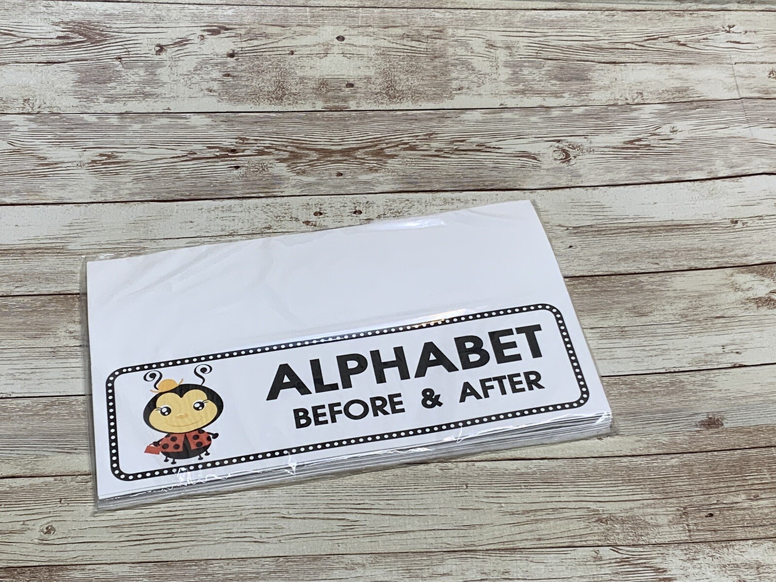 Lady Bug – Themed Learning Centers – Laminated – Alphabet Before & After