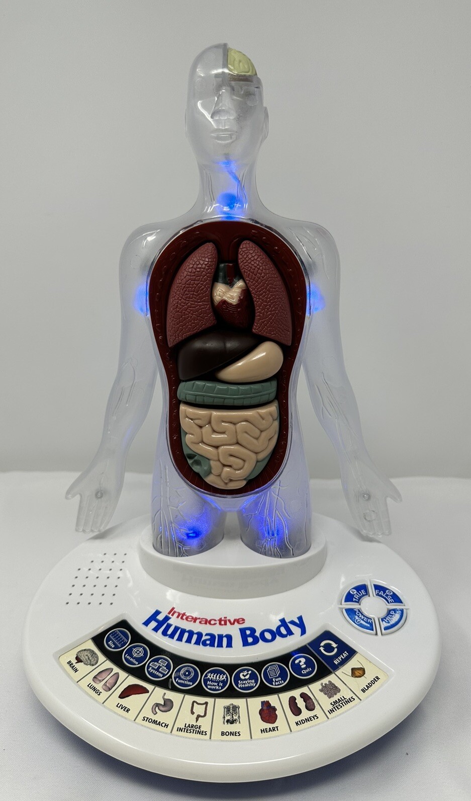 Scientific Toys Interactive Speaking Human Body Anatomical Learning Toy 2007