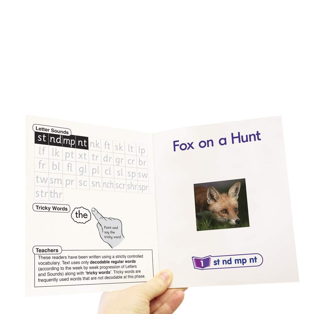 Blend Readers Non-Fiction Toy