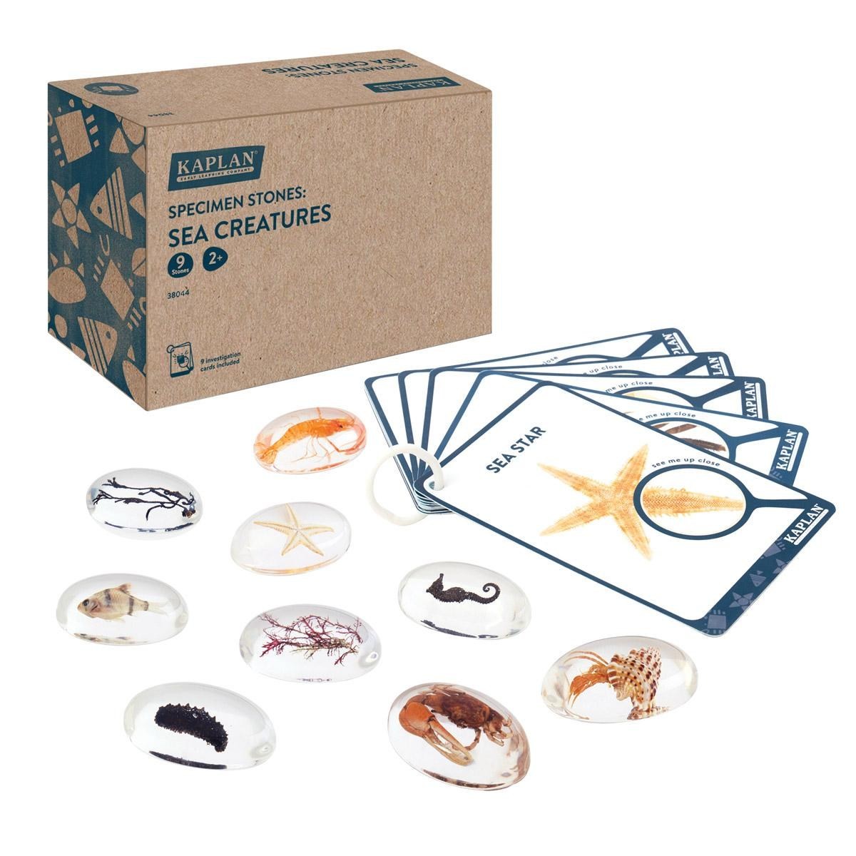 Kaplan Early Learning Specimen Stones: Sea Creatures