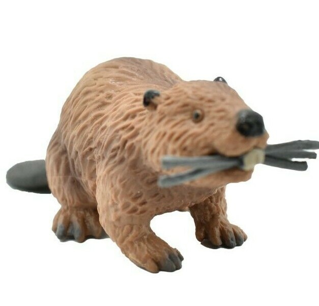 Beaver, Castor, Very Nice Plastic Animal, Toy, Kids Realistic Figurine 4.5 F1651