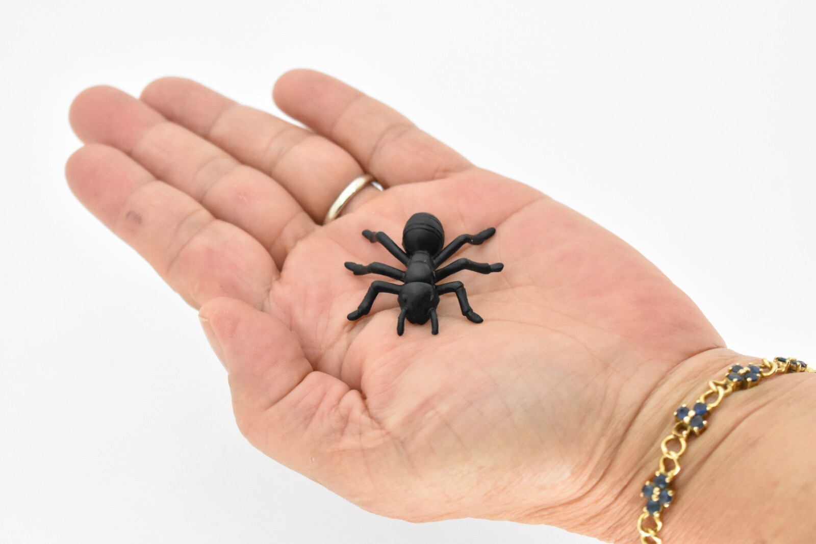 Ant, Black, Very Nice Plastic Model Toy Bug 1.5 Inch