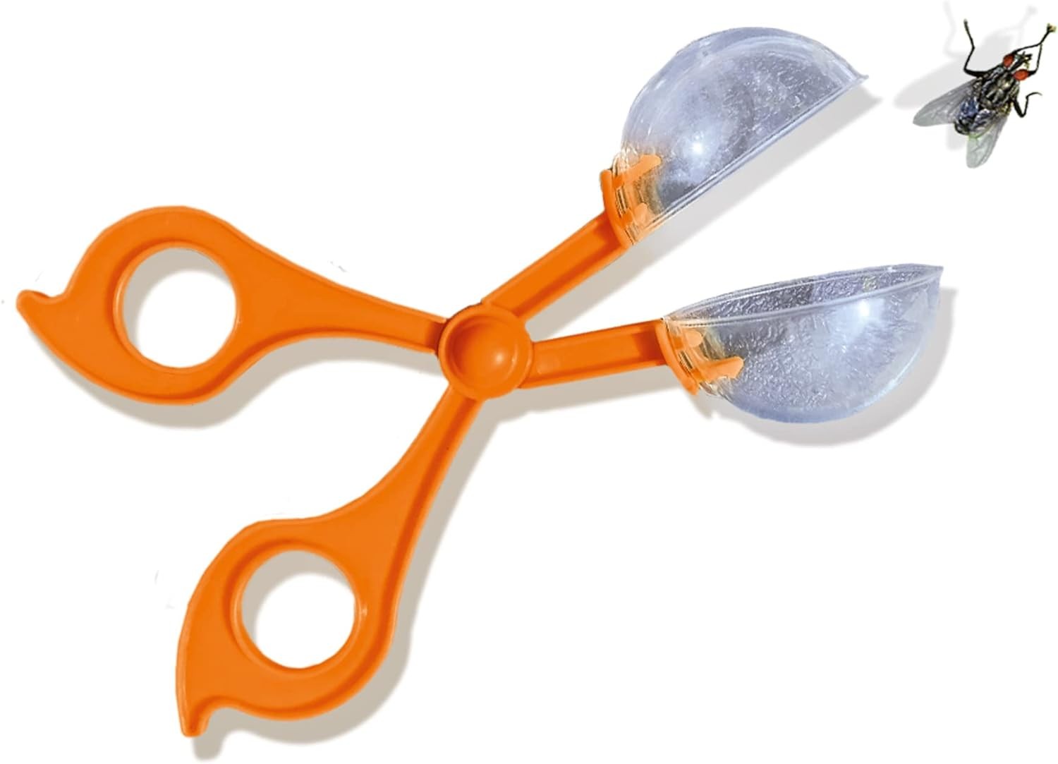 SES Creative 25116 Insect Explorer, Small