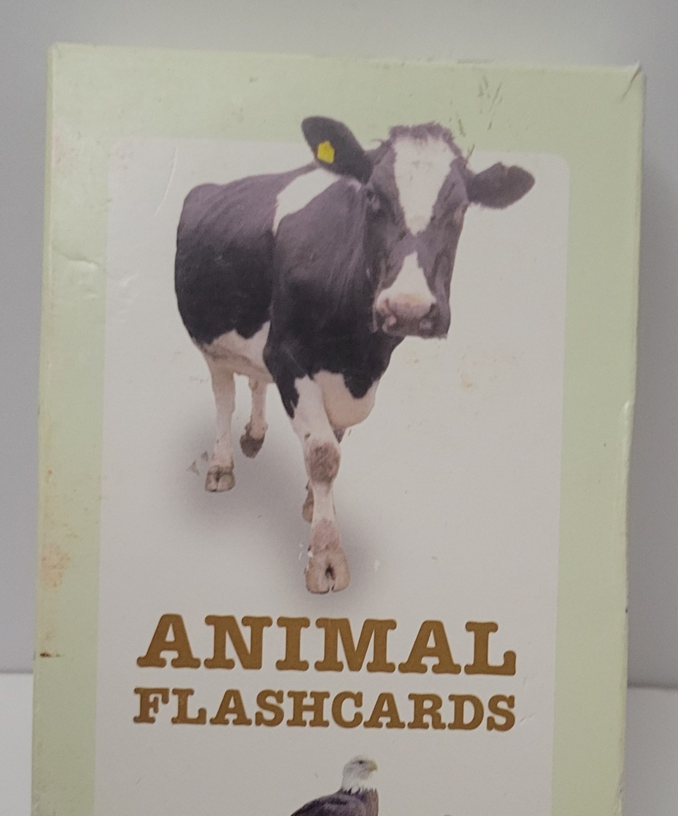 Animal Flashcards Flash Cards Set Of 26 Thick Durable