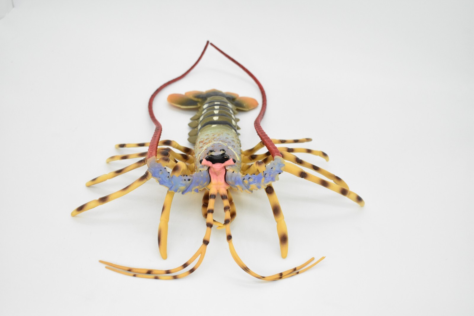 Lobster Toy, Pacific, Australian, Educational Realistic Rubber Model, Figure 12″
