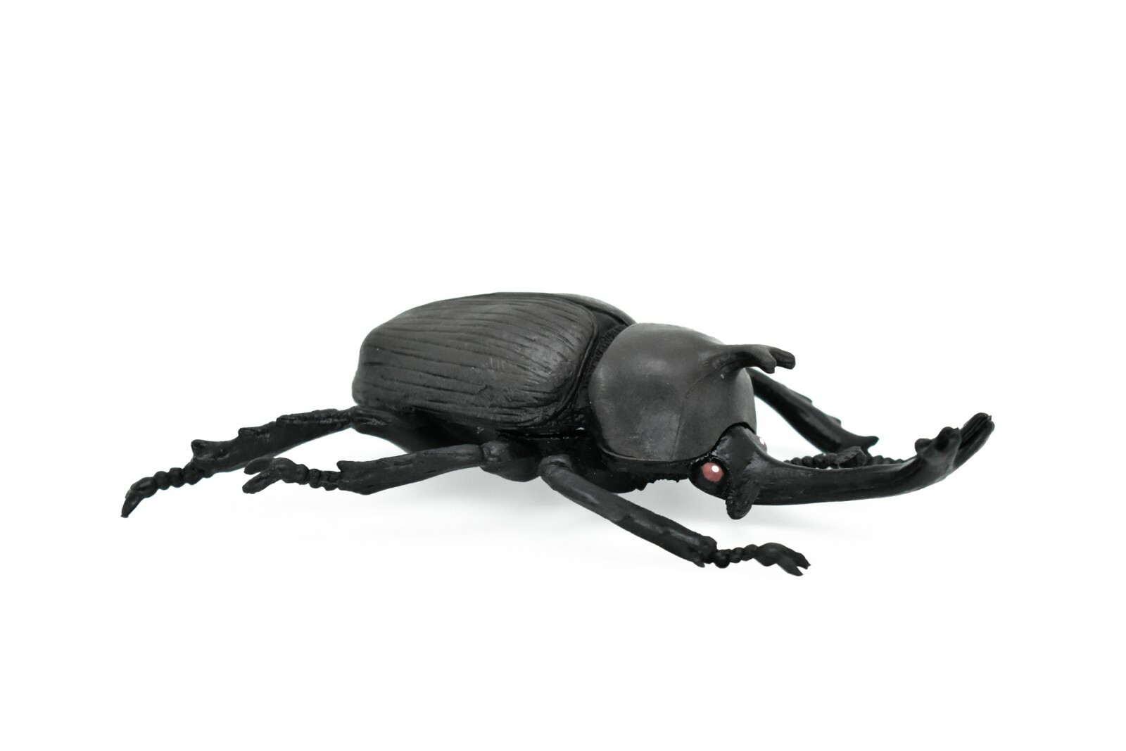 Beetle Rhinoceros, Black, Very Nice Rubber Replica 5 1/2″ CWG82 B153