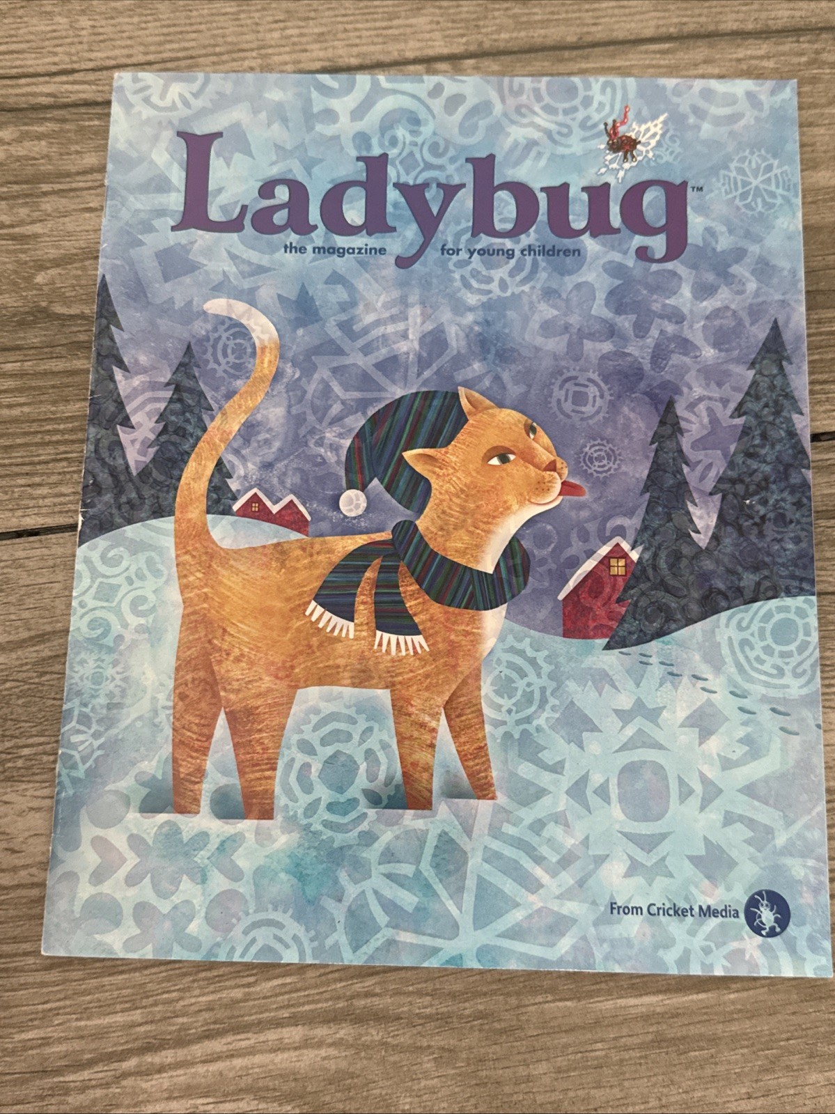 9 Educational Books Highlights Puzzle Buzz I Can Draw Animals Little Leap Book