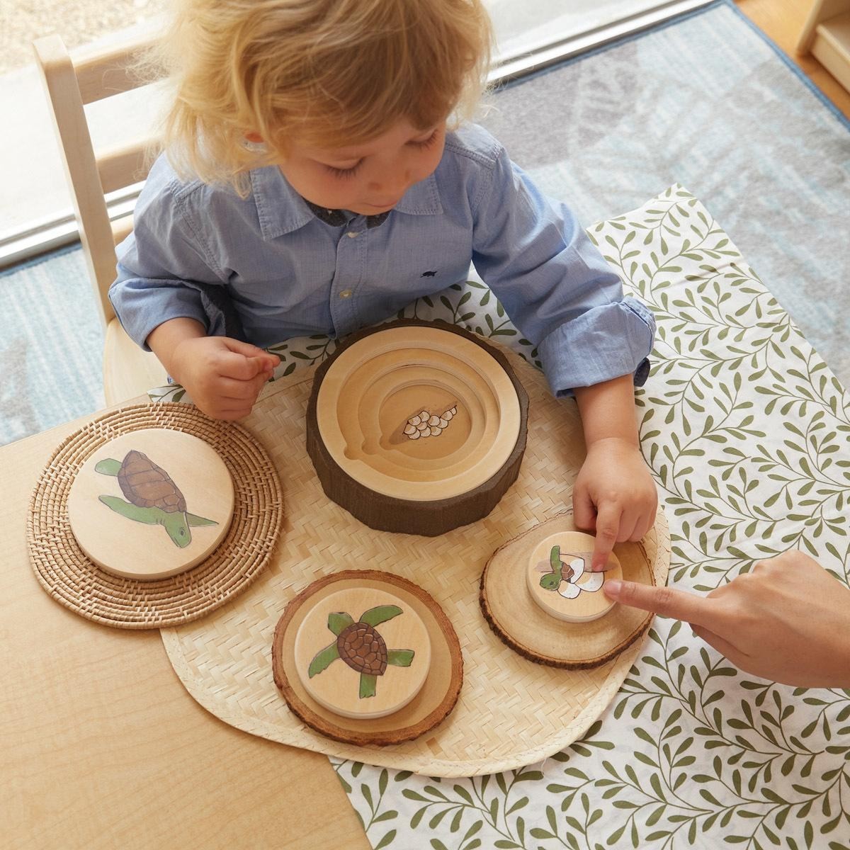 Kaplan Early Learning Lifecycle Puzzles – Set of 3