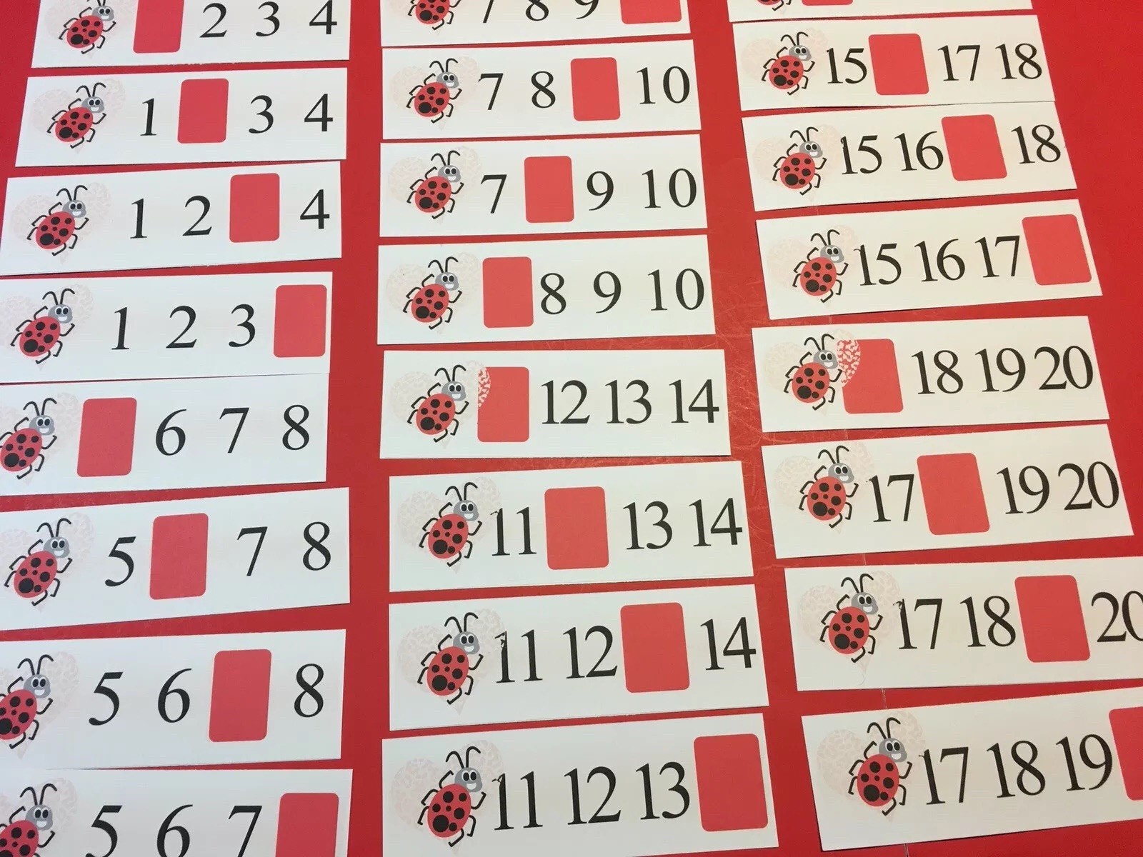 Love Bug – What Number Comes Next – 1-20 Dry Erase Laminated Activity Cards