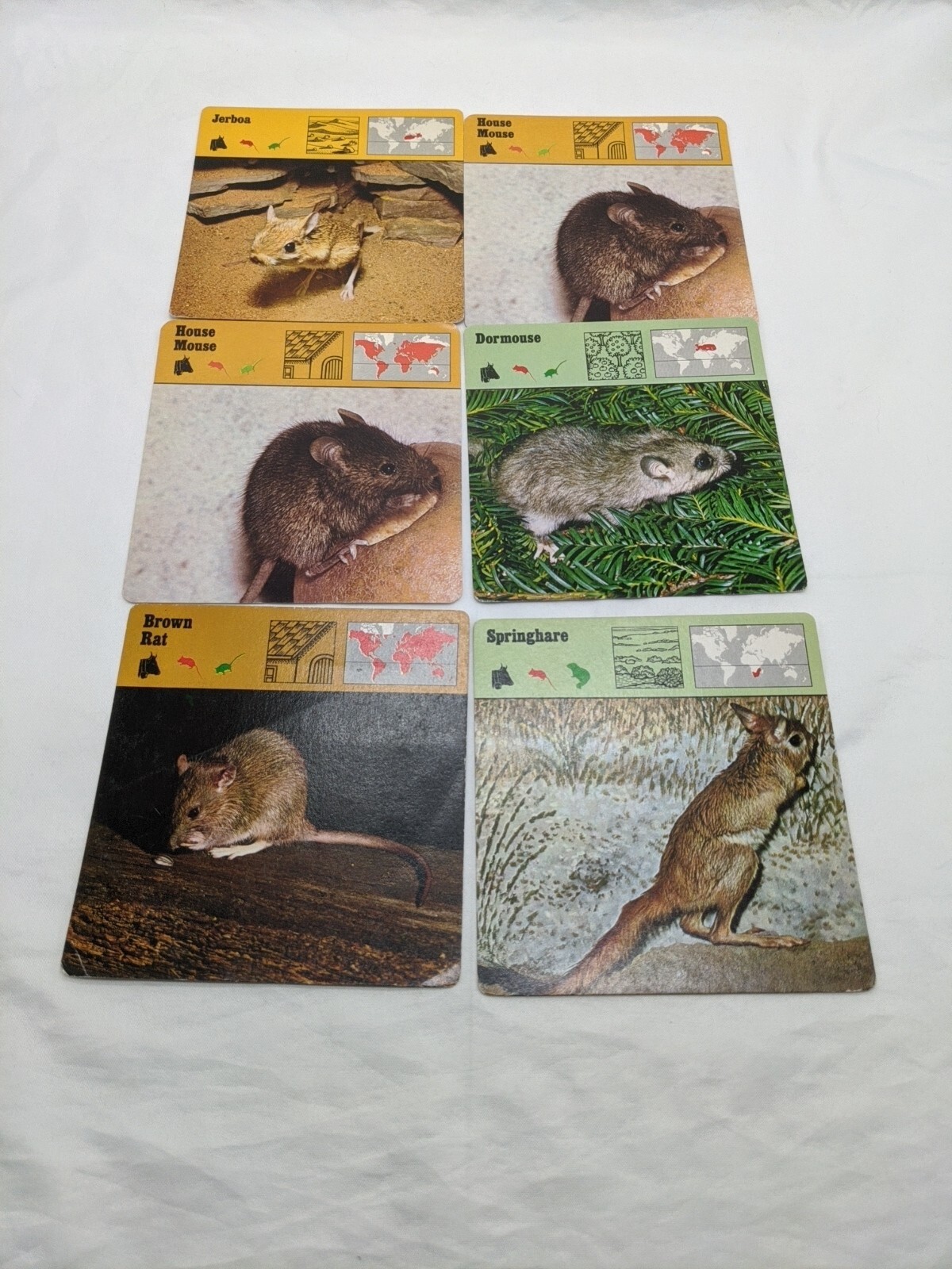 Lot Of (36) 1975 Rencontre Mammals I And II Education Cards