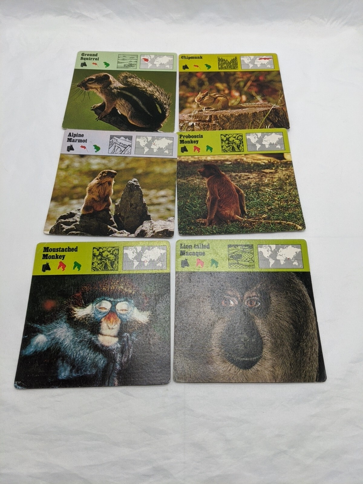 Lot Of (36) 1975 Rencontre Mammals I And II Education Cards