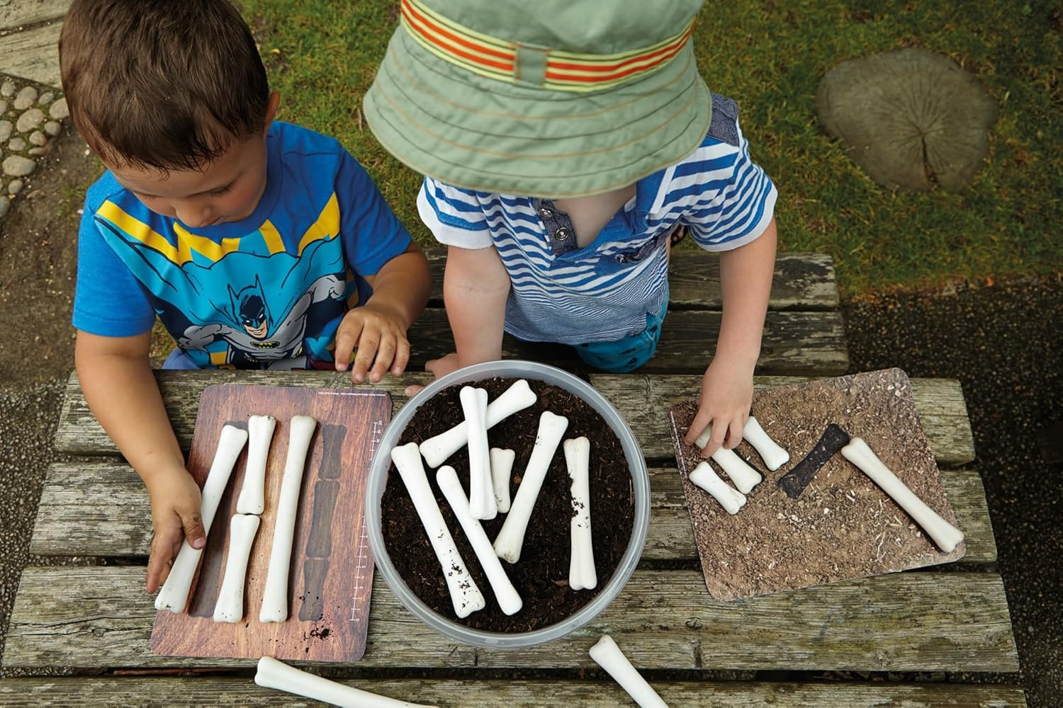 Dinosaur Bones Match & Measure Set, Multi