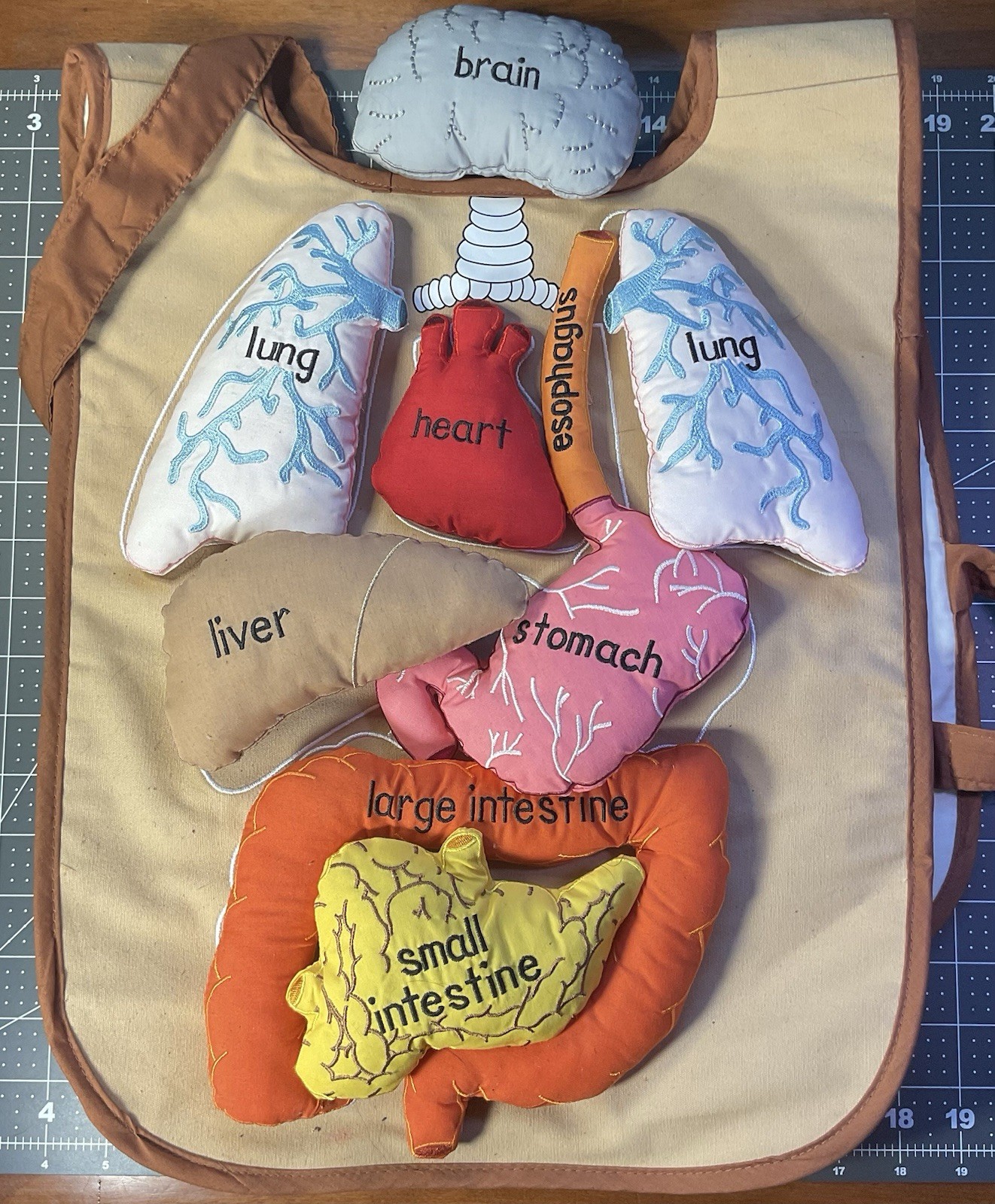 Lakeshore Learning What’s Inside Me Kid Apron Missing Brain Strap
