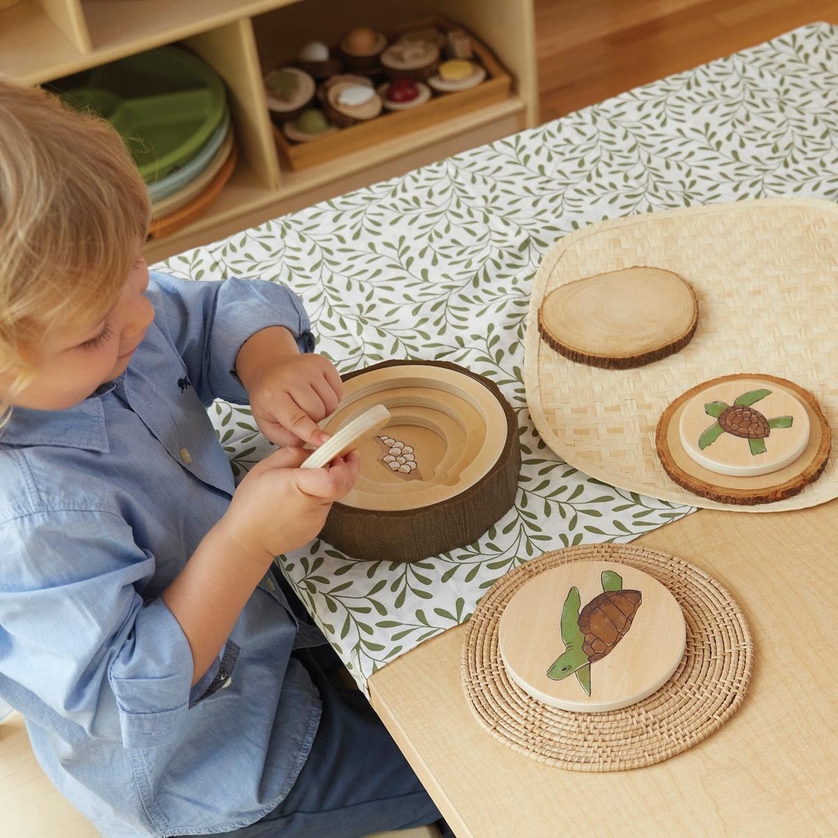 Kaplan Early Learning Lifecycle Puzzles – Set of 3