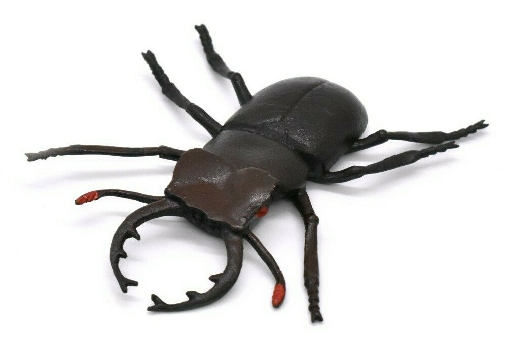Stag Beetle, Very Nice Rubber Model 3″ Toy CWG15 B16