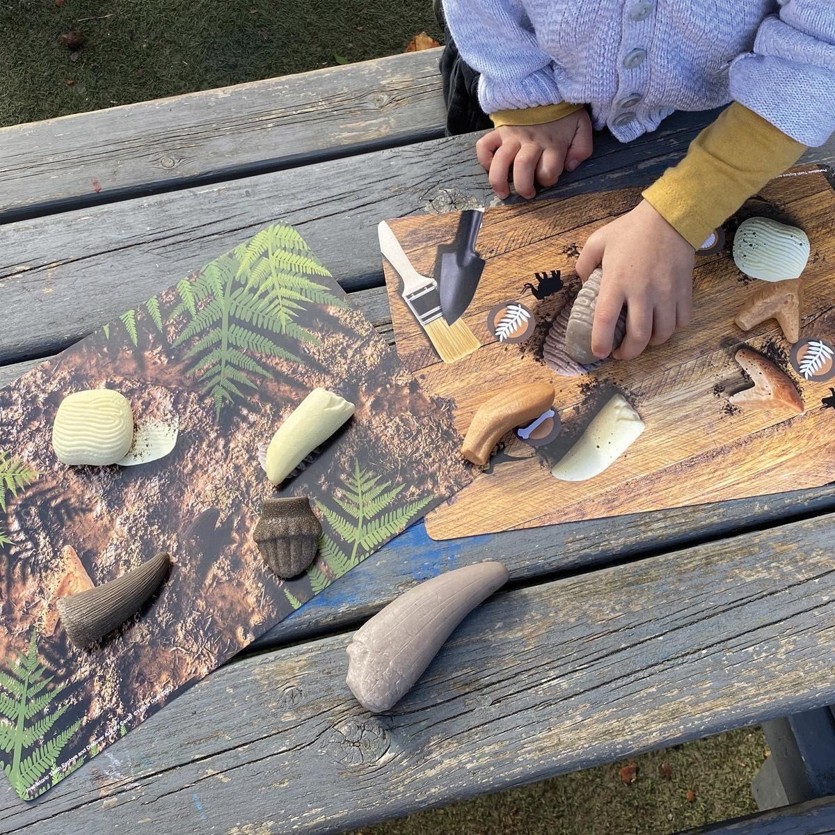 Yellow Door Sensory Prehistoric Teeth Stones and Activity Cards Set