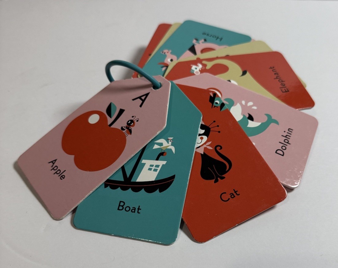 Mudpuppy My ABCs Flash Card Set (laminated)