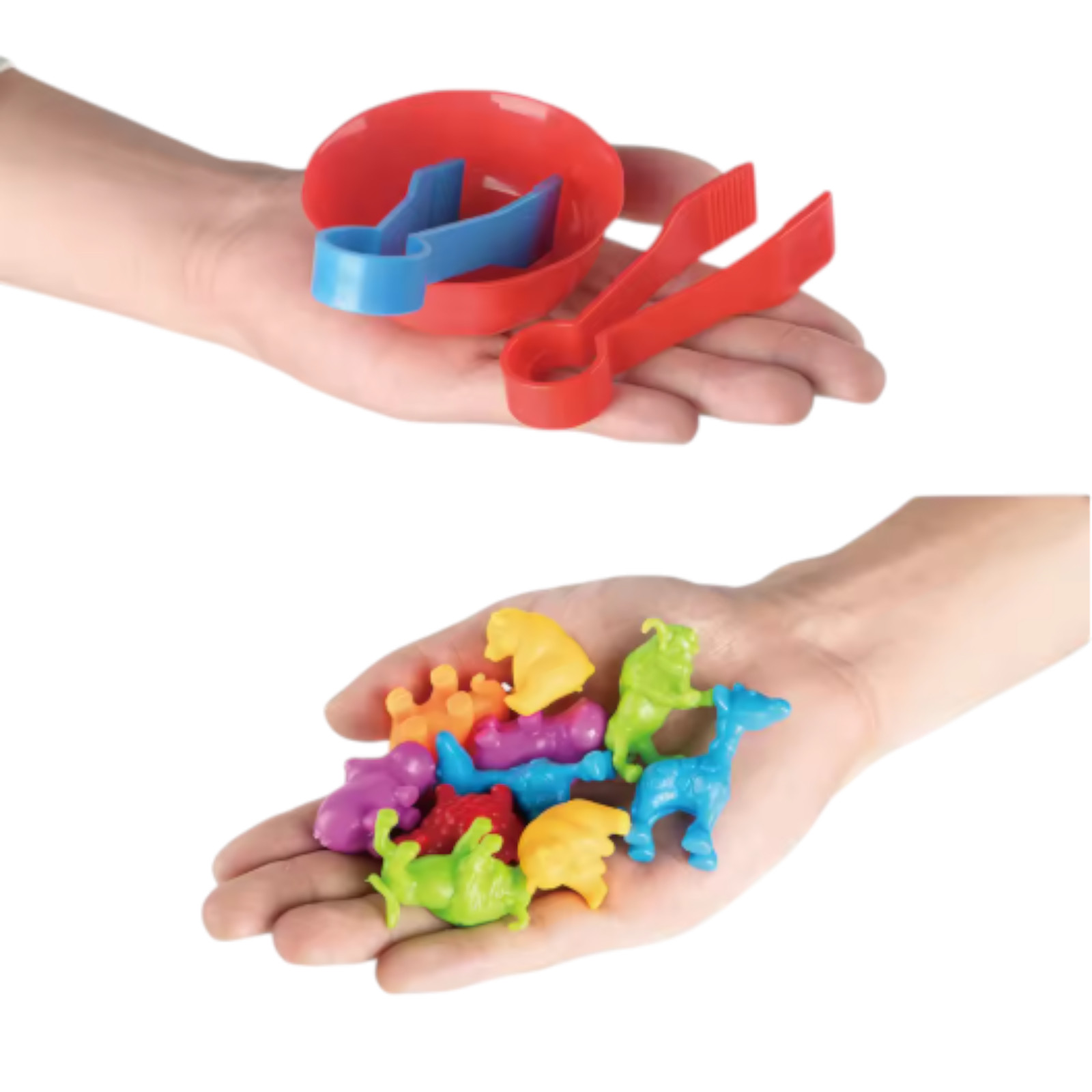 Animal Sorting Toy Color Matching Math Learning Set for Kids cartoon Dinosaurs