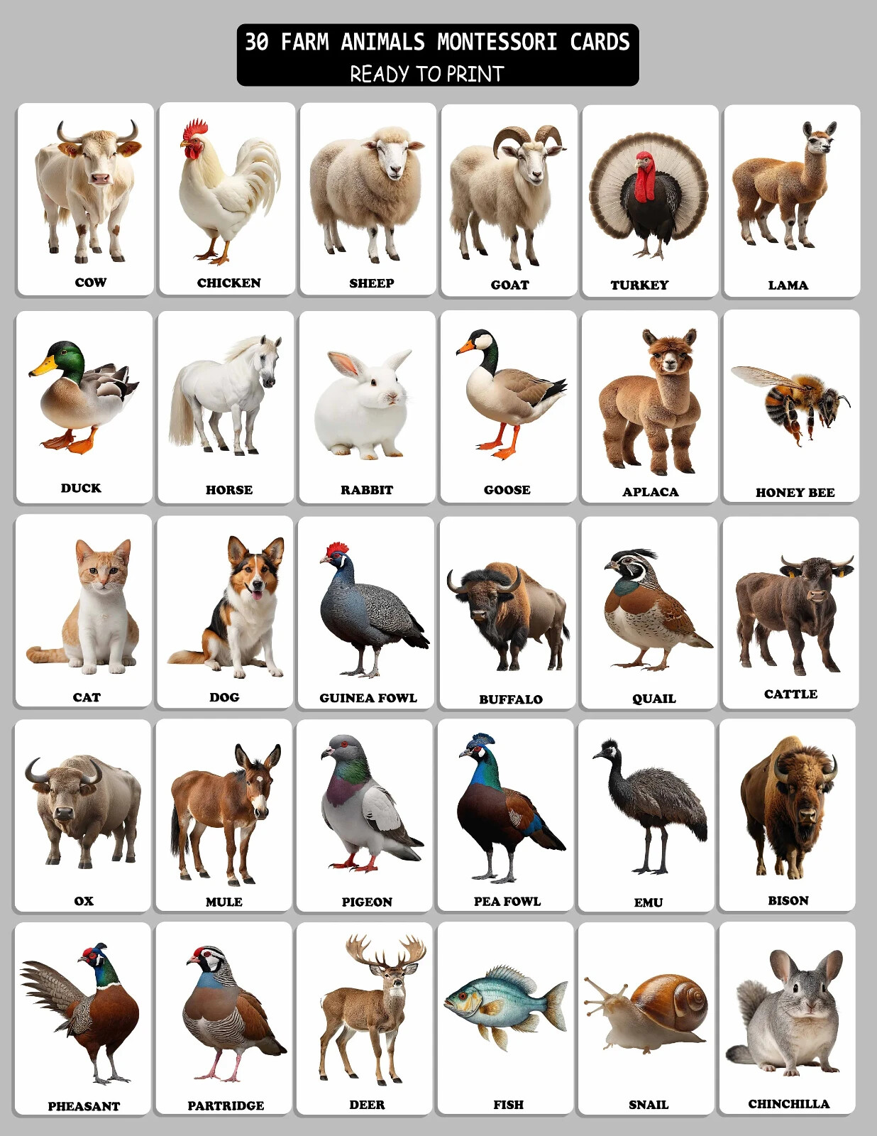 Printable Farm Animals Flash Cards-Montessori-Inspired 30 Card Set for Preschool