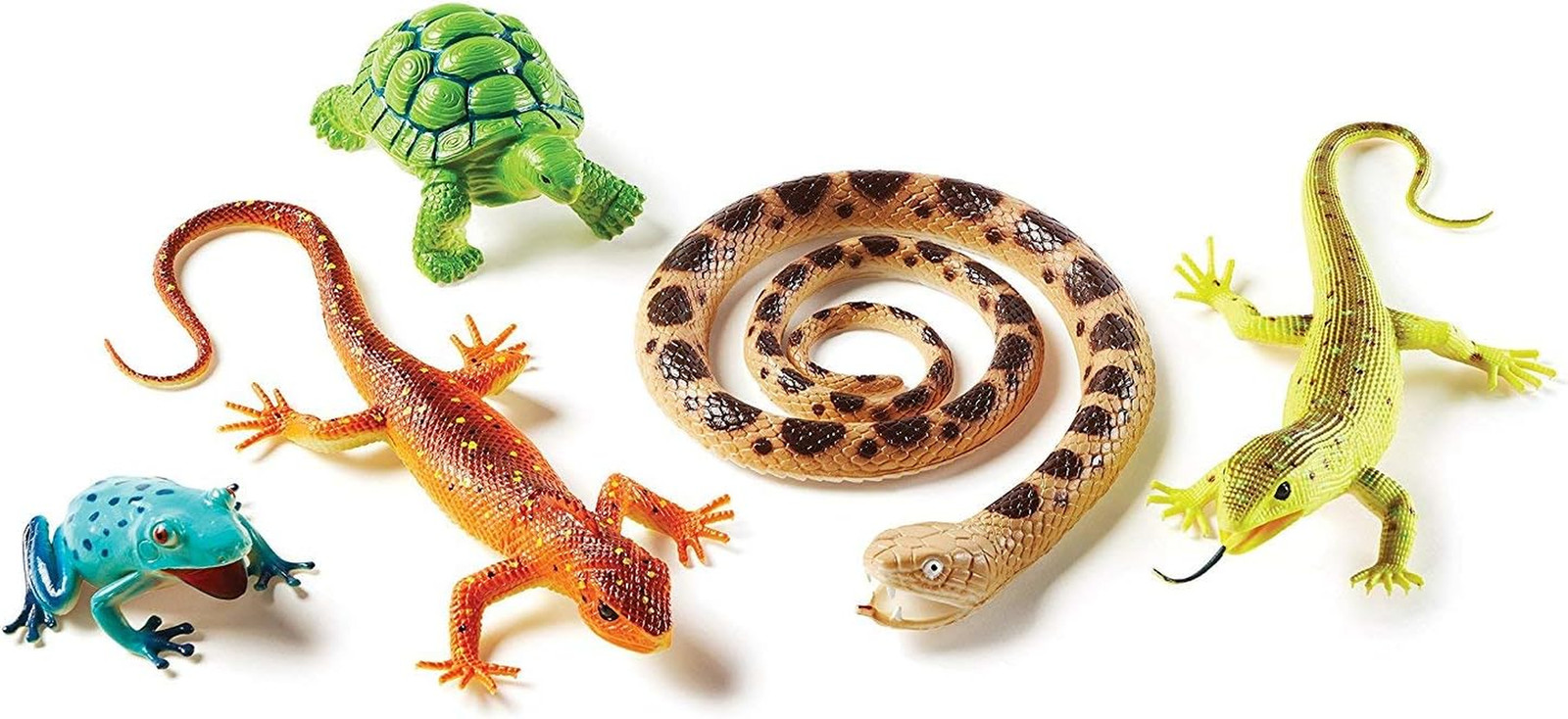Jumbo Reptiles & Amphibians – Tortoise, Gecko, Snake, Iguana, Snake, and Tree Fr