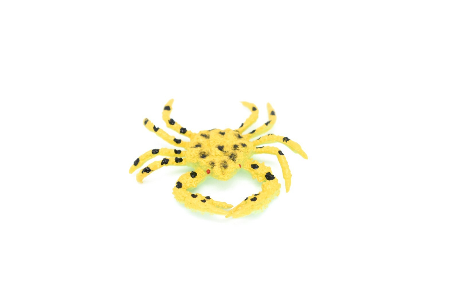 Yellow Crab, Spotted, Realistic Plastic Model Toy Replica 2″ CWG139 BB28