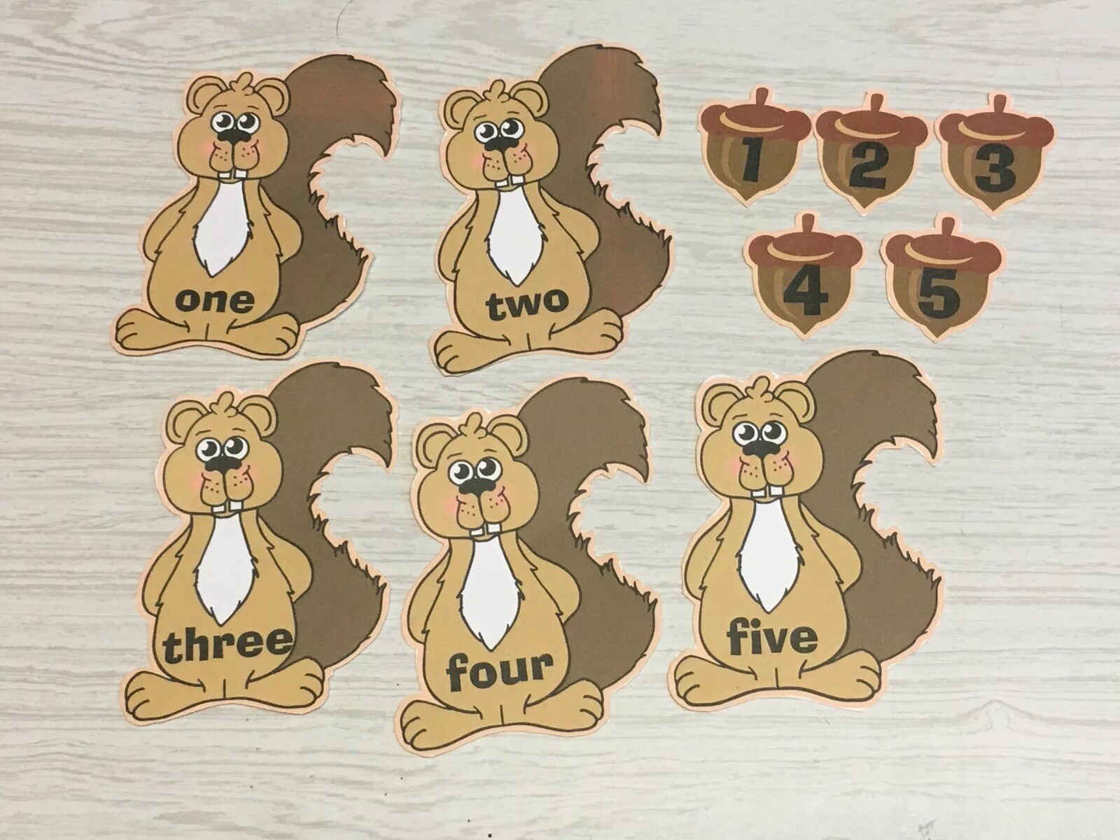 Five Little Squirrels – FLANNEL /FELT BOARD STORY Pieces