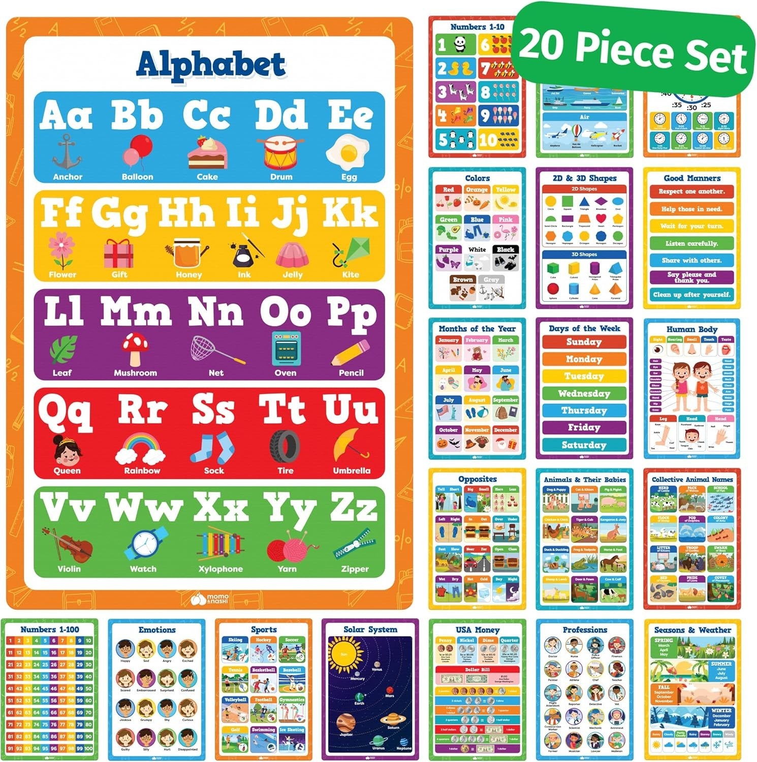 Educational Posters Set 20pcs 16×11 Inches PVC Classroom Learning Supplies