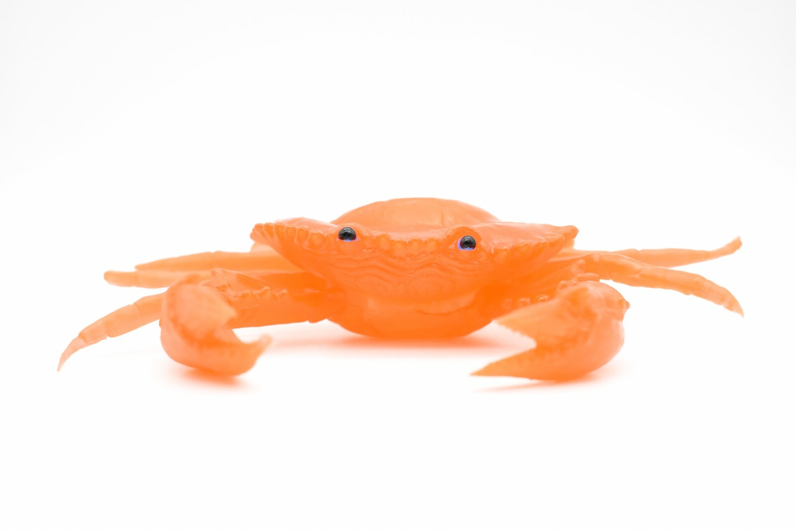 Orange Crab, With Squeak, Very Nice Rubber Replica 7″ F1764 B188