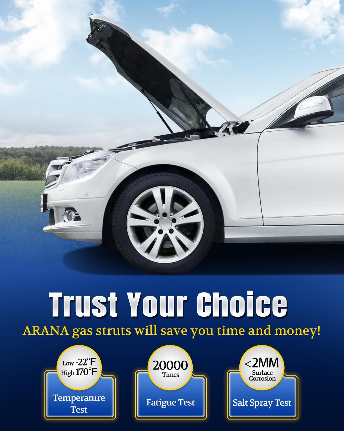 ARANA Qty(2) Hood Struts Lift Support Campatible with Lexus RX350 Black
