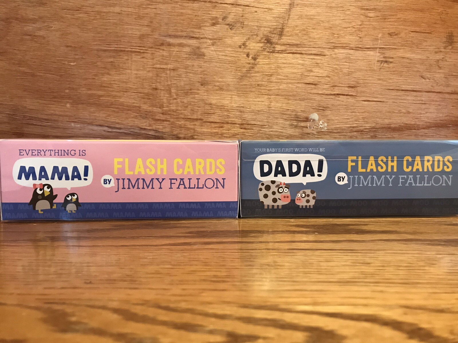 Flash Cards-Jimmy Fallon-Everything Is Mama!-Your Baby’s 1st Word Will Be Dada!