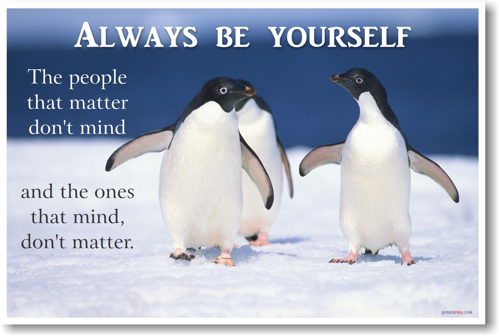 Always Be Yourself – NEW Classroom Puffin Animal Motivational School POSTER