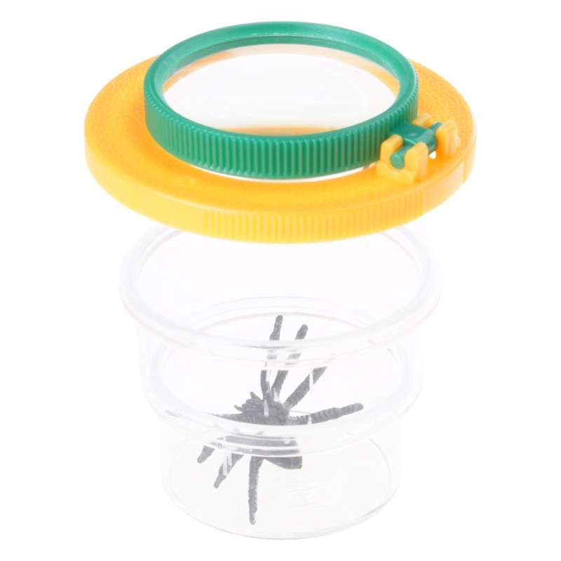 Nature Exploring Magnifiers Insect Box Classroom Educational Toy Insect