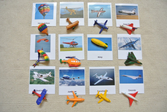 Montessori In the Sky 3-Part Cards with Miniatures
