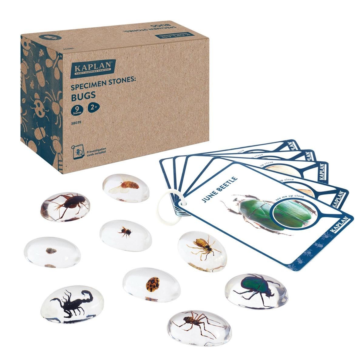 Kaplan Early Learning Specimen Stones: Bugs