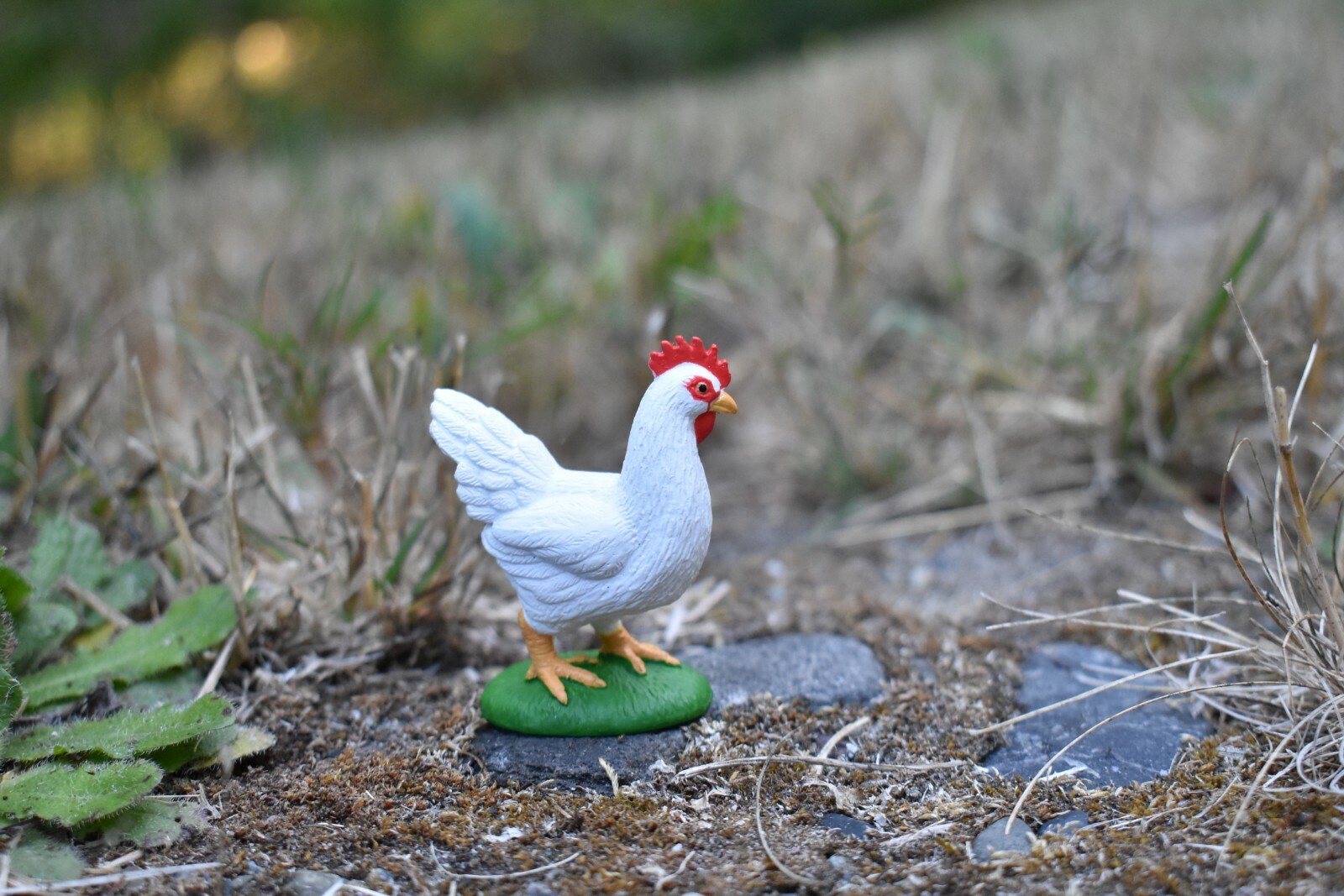 Chicken White Realistic Toy Model Plastic Replica Barn Farm Animal 2″ F7053