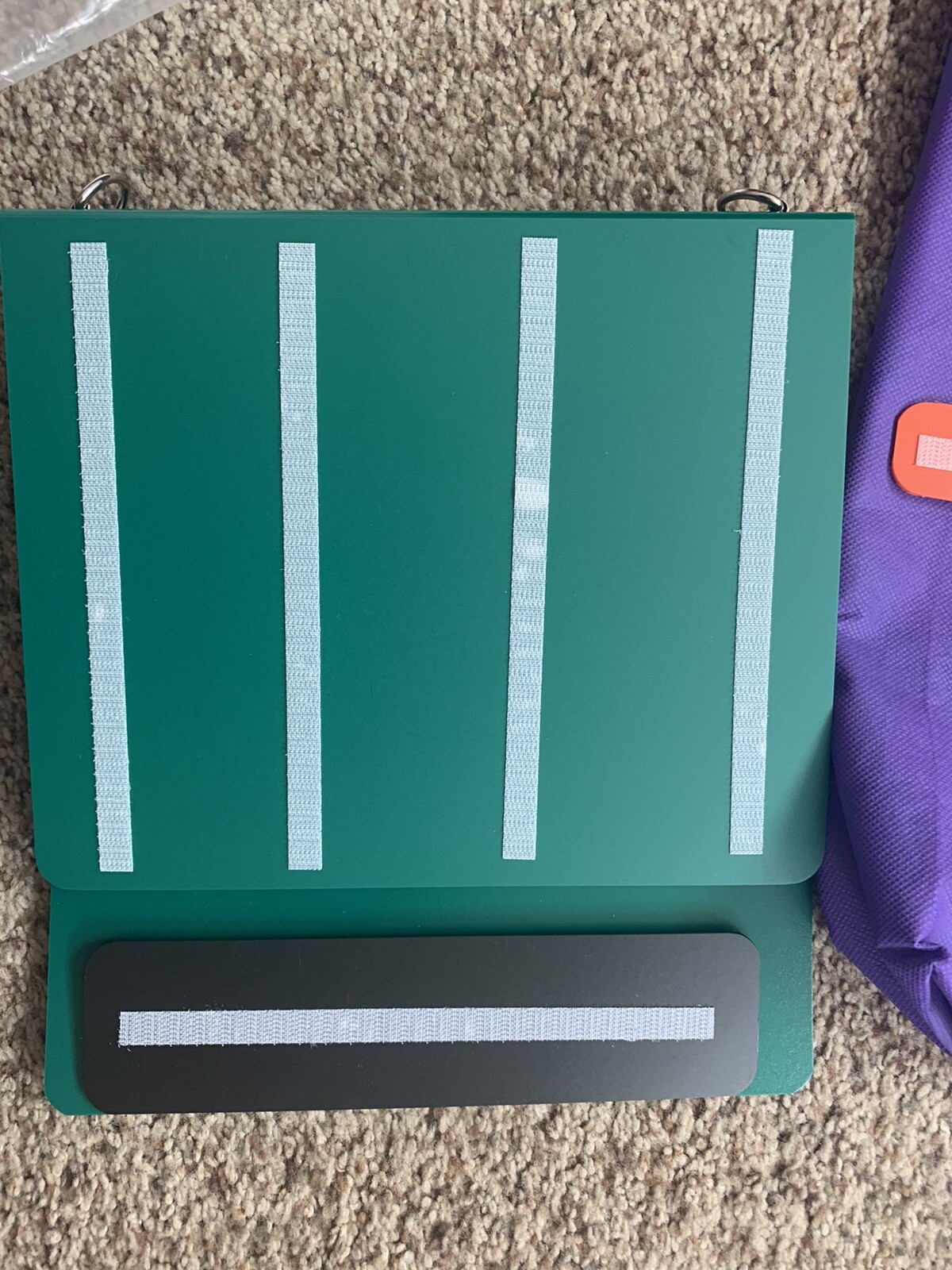 PECS brand communication Binder/ Book Including PECS branded carrying bag