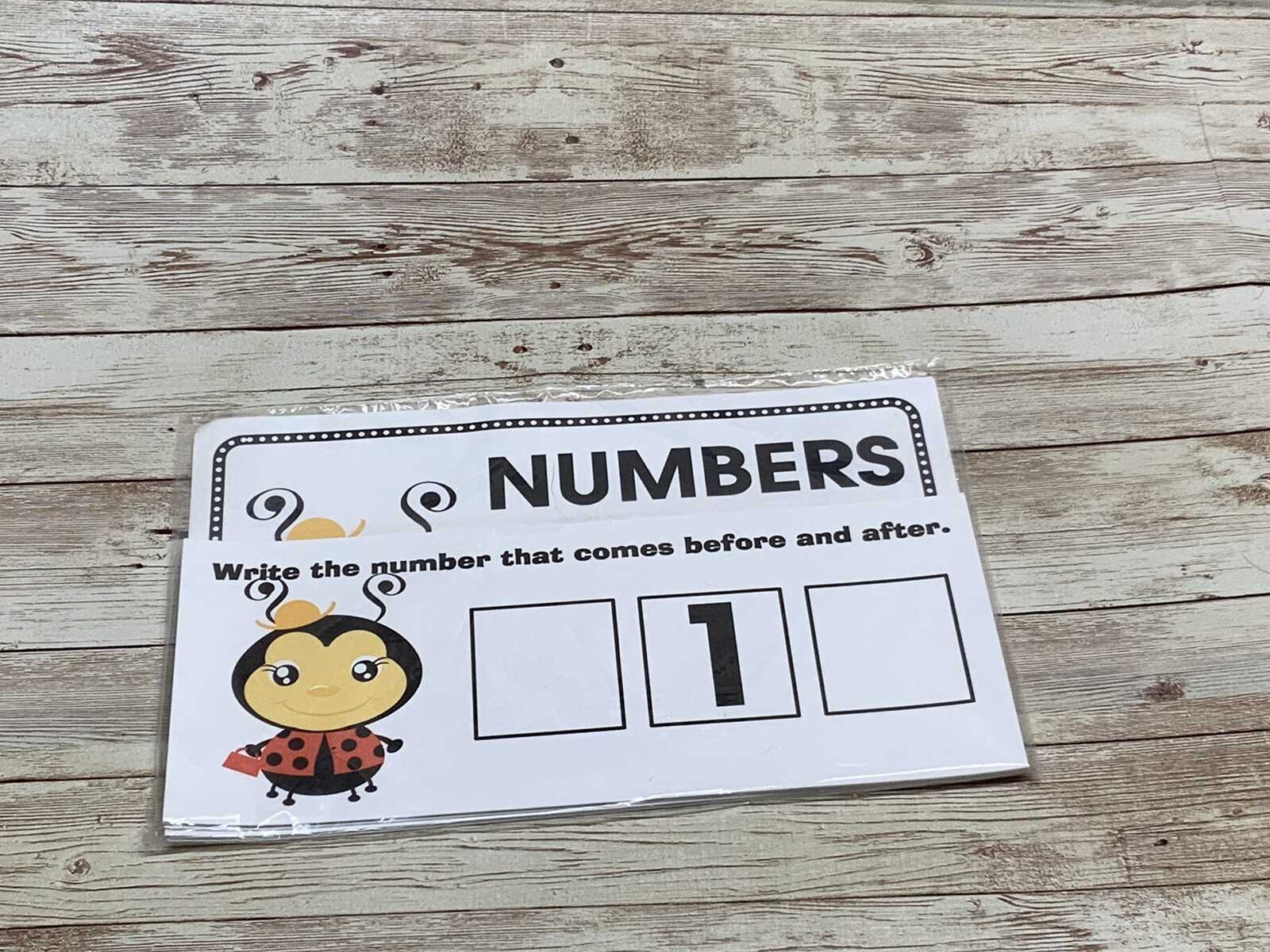 Lady Bug – Themed Learning Centers – Laminated – Numbers Before & After